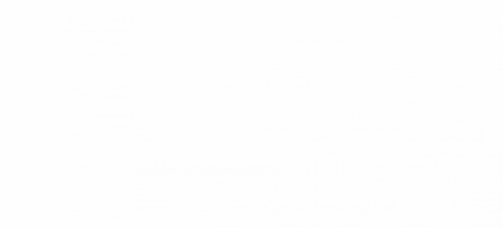 Logo GSEH en blanc
